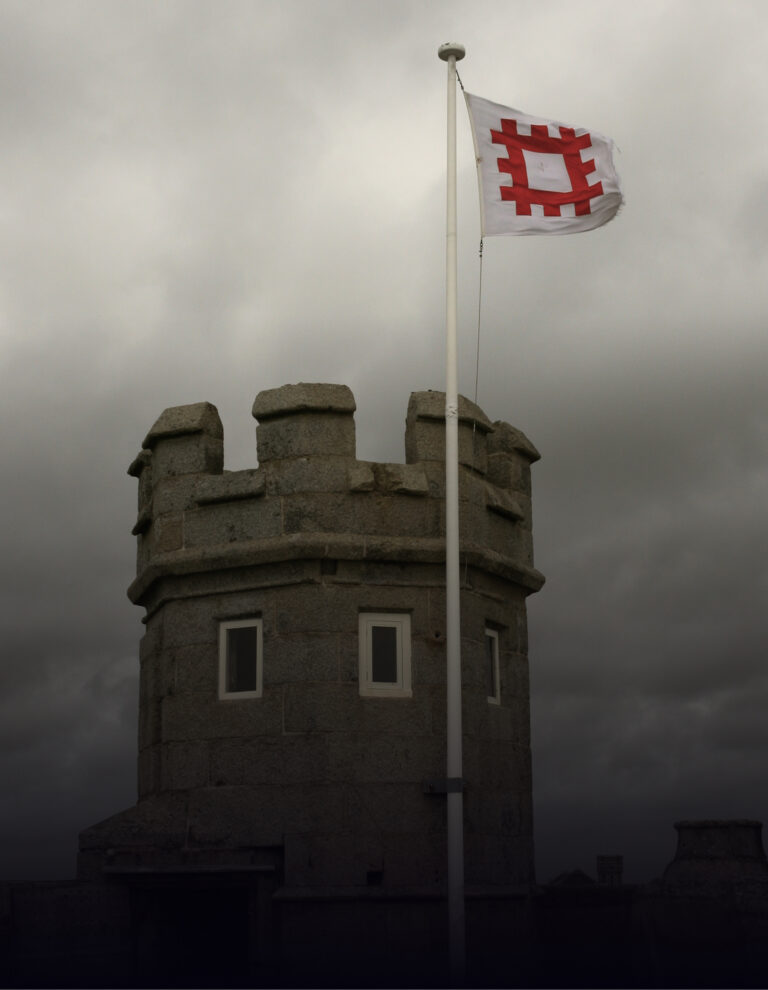 Observing Flags and What They Represent